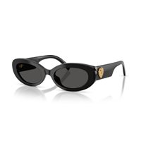 Lunettes de soleil D&G Femme 0DG4537501/8753
